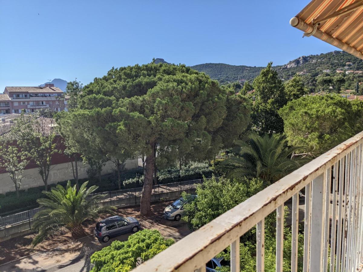 Superbe T2 Proche Des Plages Et Des Commerces Hyères Zewnętrze zdjęcie