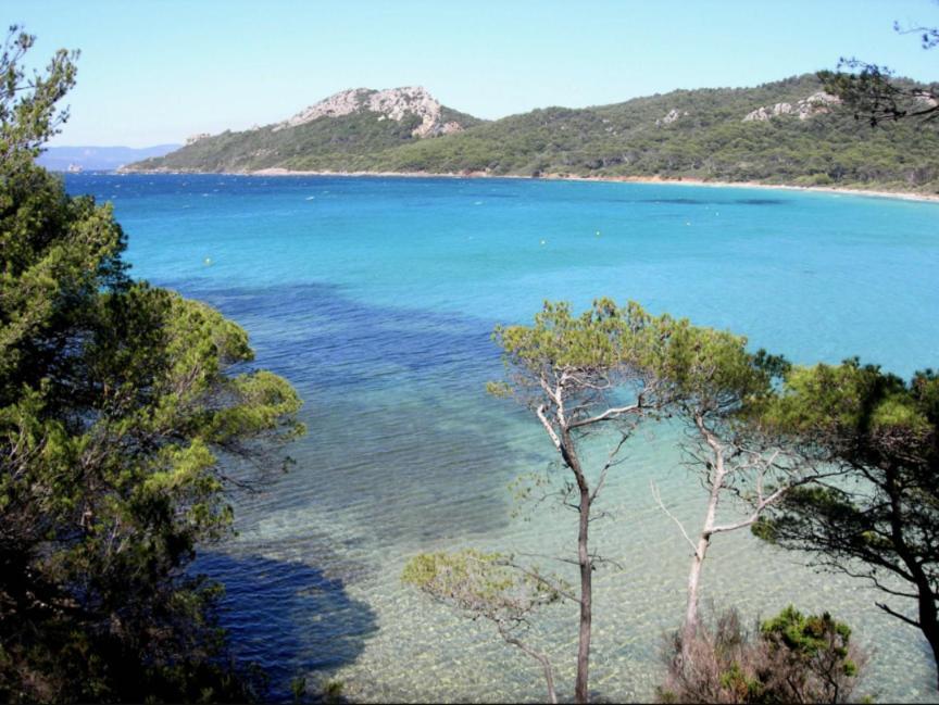 Superbe T2 Proche Des Plages Et Des Commerces Hyères Zewnętrze zdjęcie